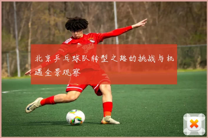 北京乒乓球队转型之路的挑战与机遇全景观察