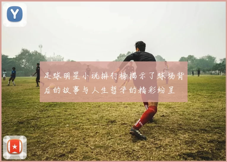 足球明星小说排行榜揭示了球场背后的故事与人生哲学的精彩纷呈