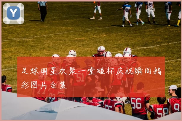 足球明星欢聚一堂碰杯庆祝瞬间精彩图片合集