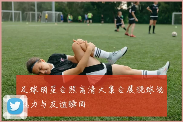 足球明星合照高清大集合展现球场魅力与友谊瞬间