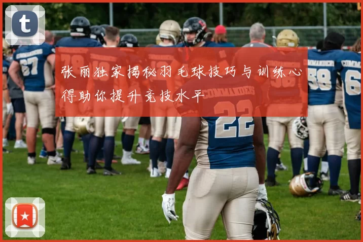 张丽独家揭秘羽毛球技巧与训练心得助你提升竞技水平