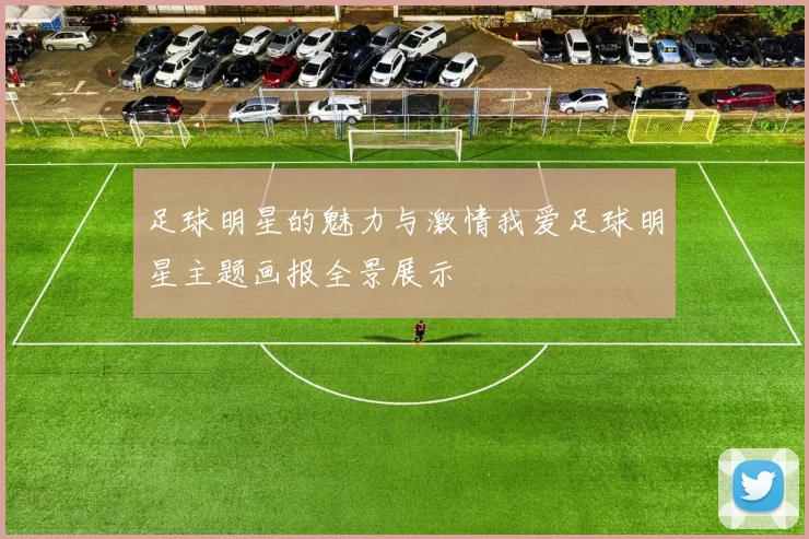 足球明星的魅力与激情我爱足球明星主题画报全景展示